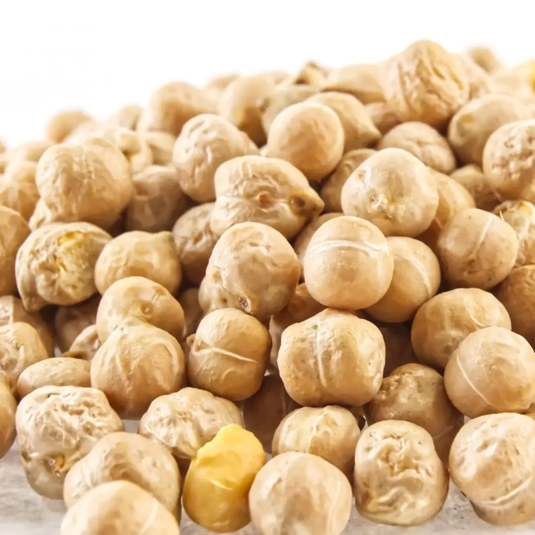 Rockworld - Chickpea Seed